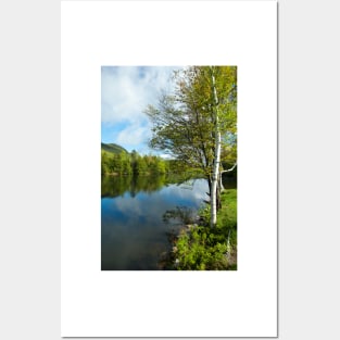 Spring Birch Woodard Reservoir, Vermont Posters and Art